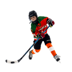 BAUER NEXUS PERFORMANCE STICK JUNIOR