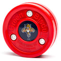 Florida Panthers