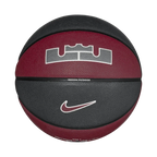 Nike Unisex All Court 2.0 8P L James