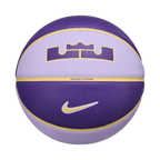 Nike Unisex All Court 2.0 8P L James
